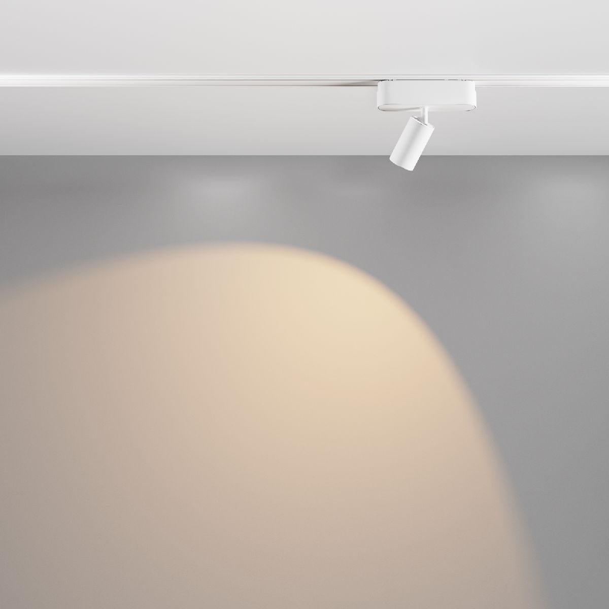 Трековый магнитный светильник Maytoni Focus LED TR103-1-5W3K-M-W