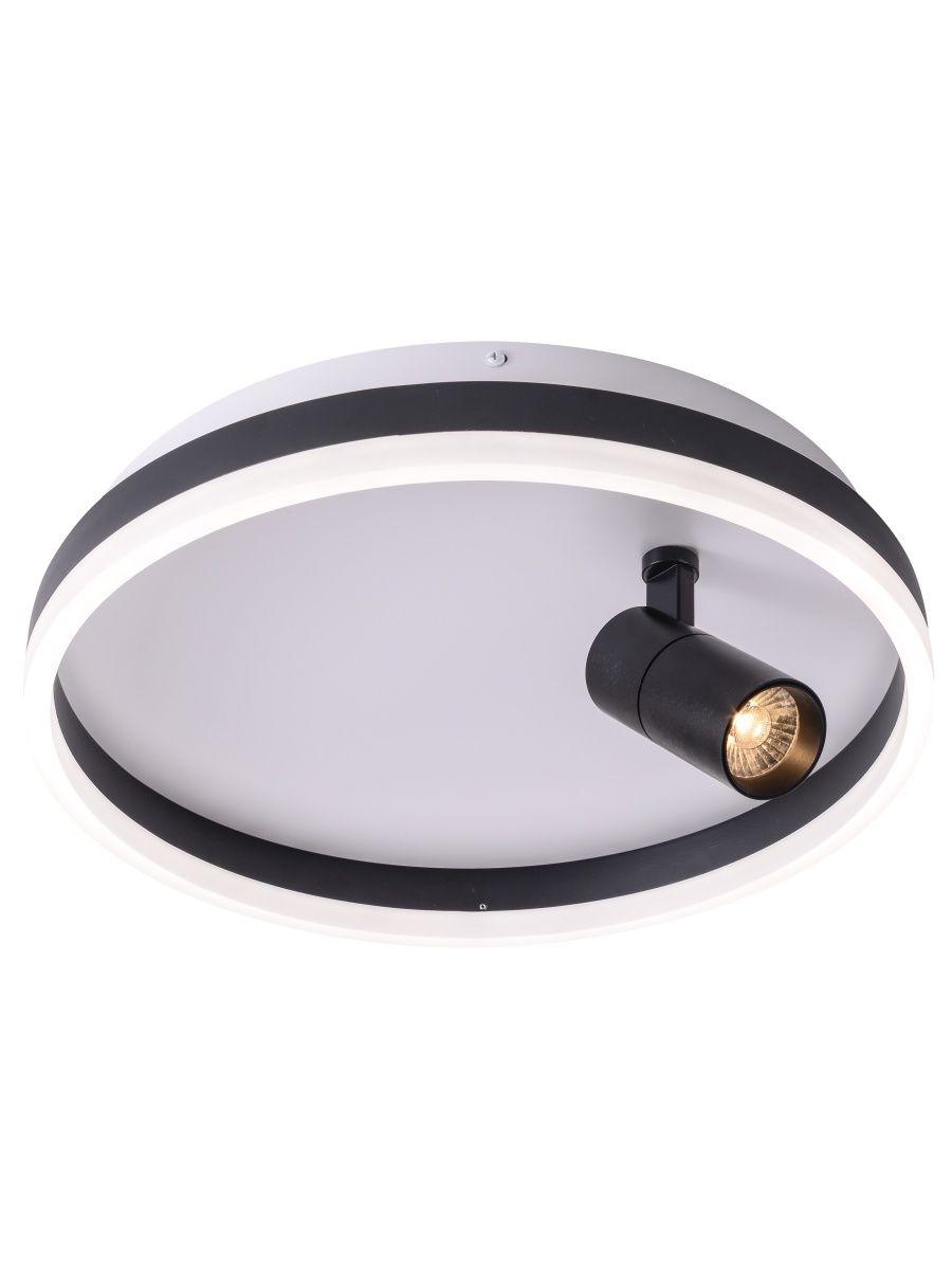 Потолочный светодиодный светильник Zortes Raizy ZRS.1888.03