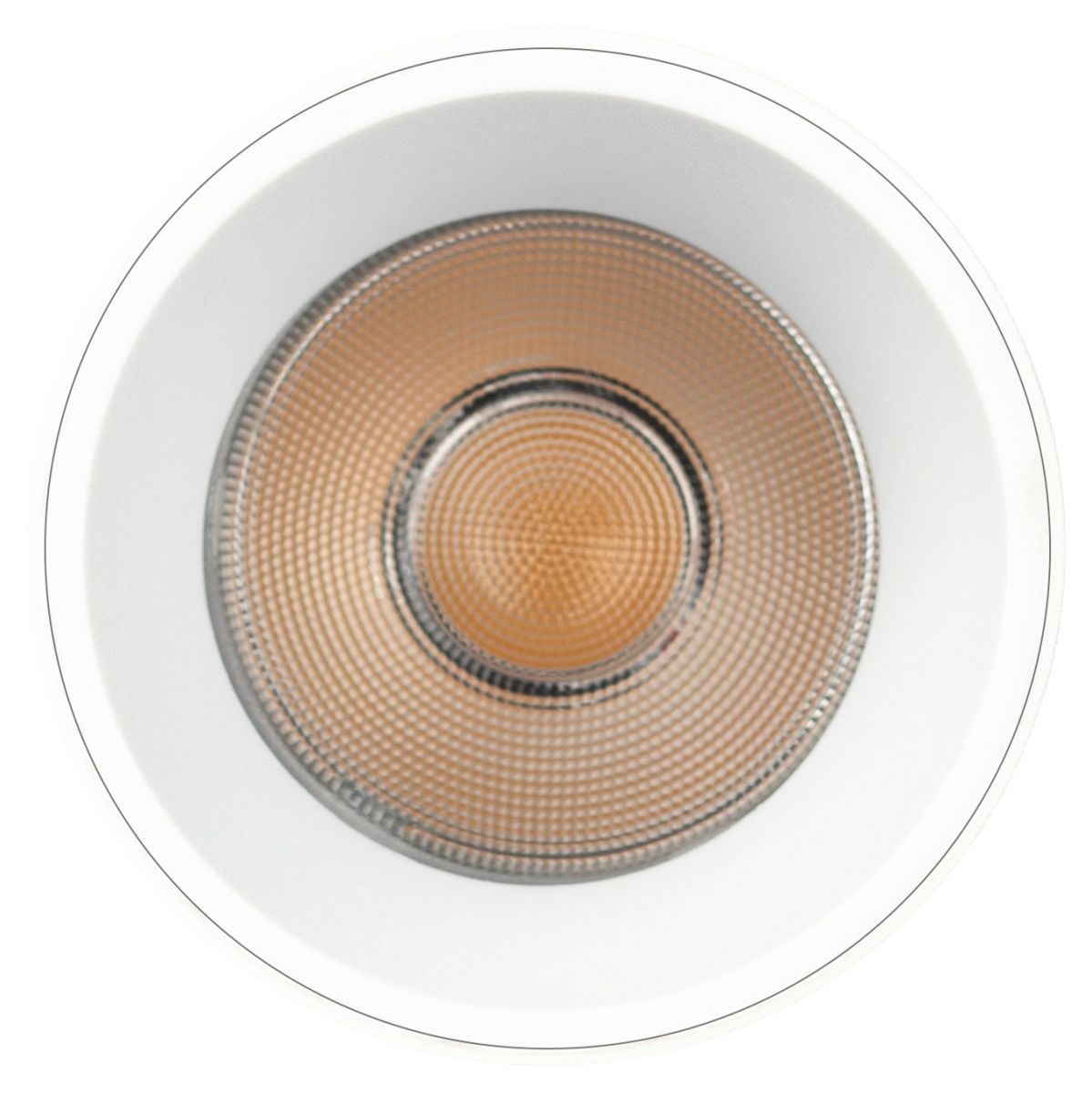 Трековый магнитный светильник Эра TRM-S5-3-8W4K-WH Б0059045