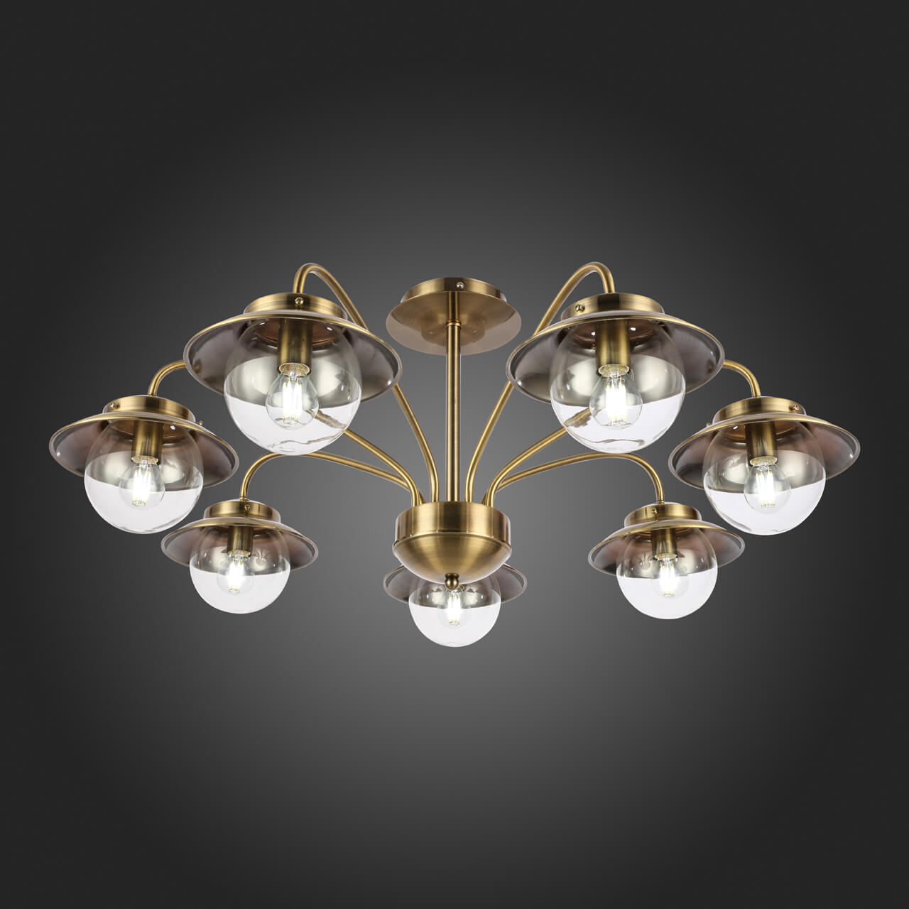 Потолочный светильник EVOLUCE GARONNI SLE110102-07