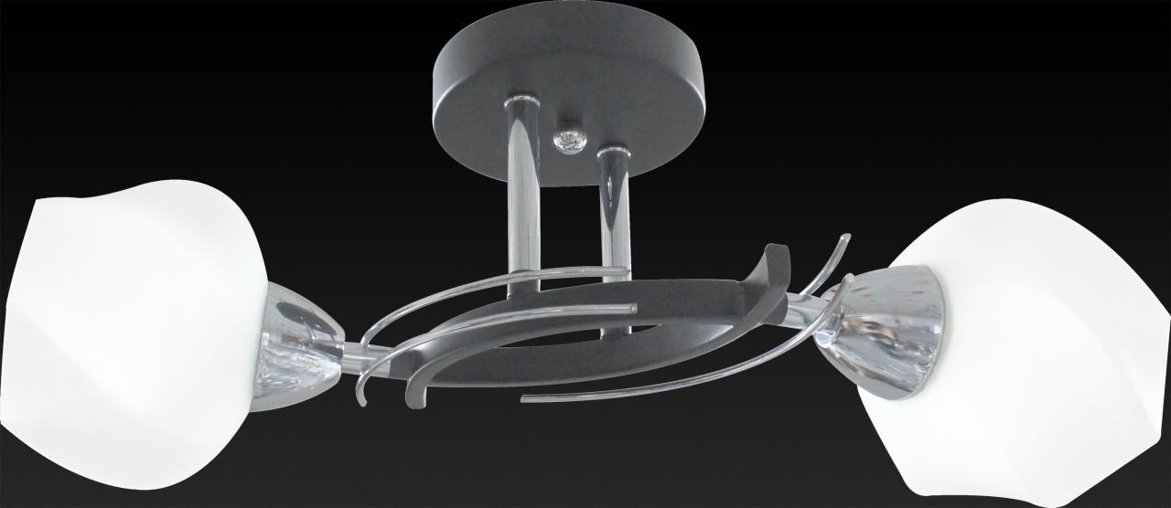 Потолочный светильник Toplight Lia TL7380X-02BC