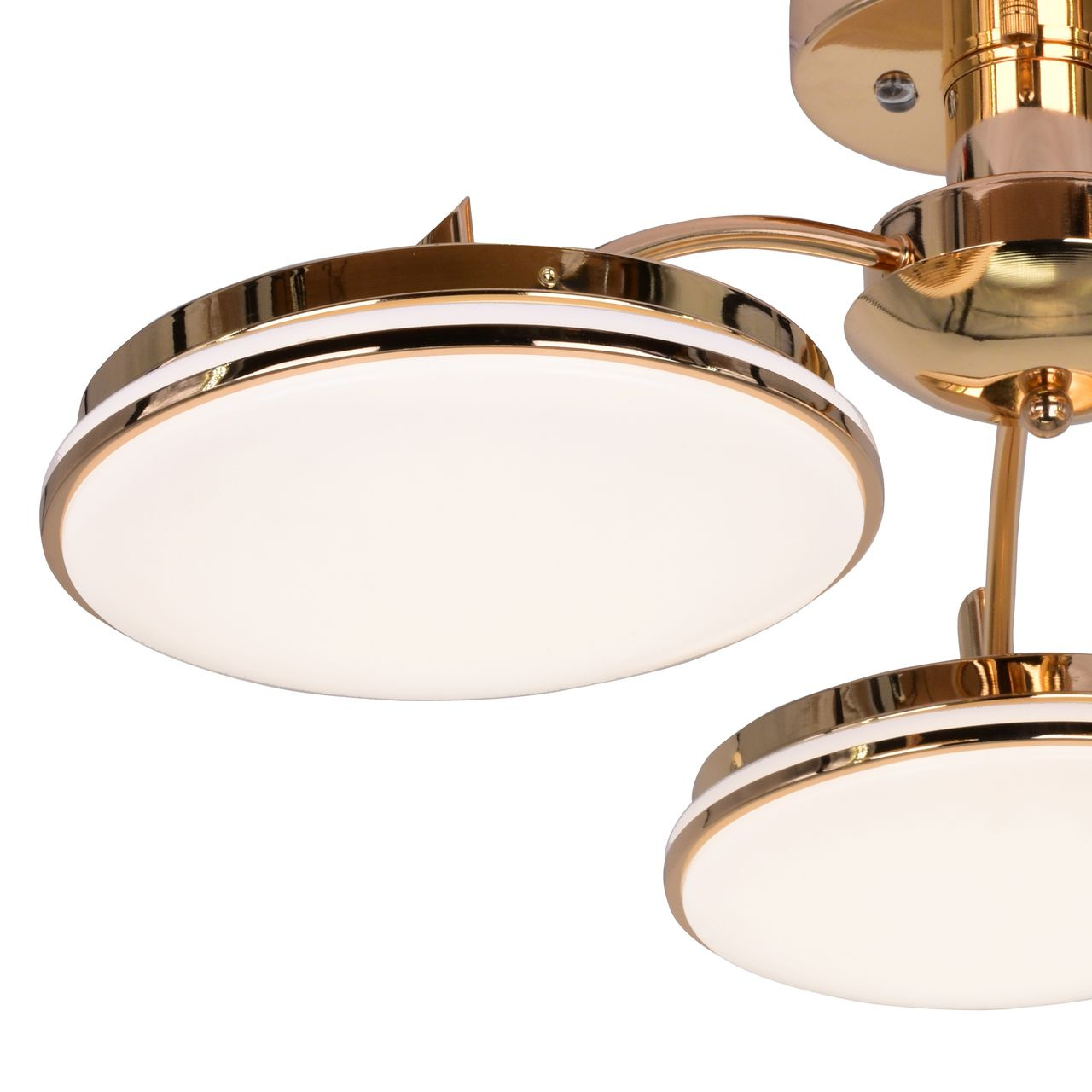 Потолочная светодиодная люстра F-Promo Ledante 2473-3P