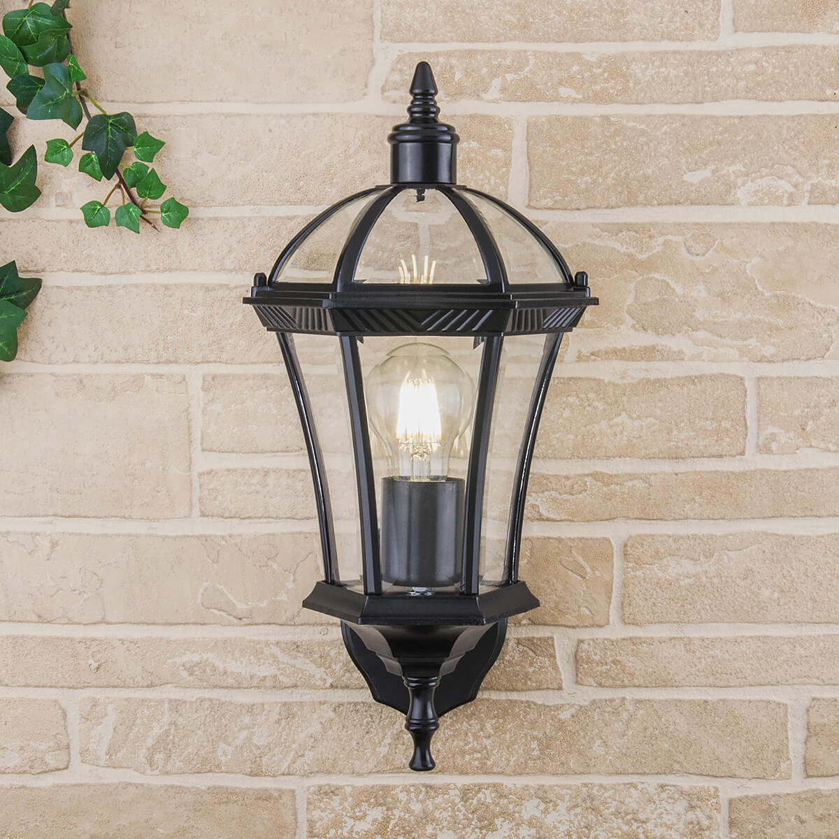 Уличный настенный светильник Elektrostandard Capella 4690389012235