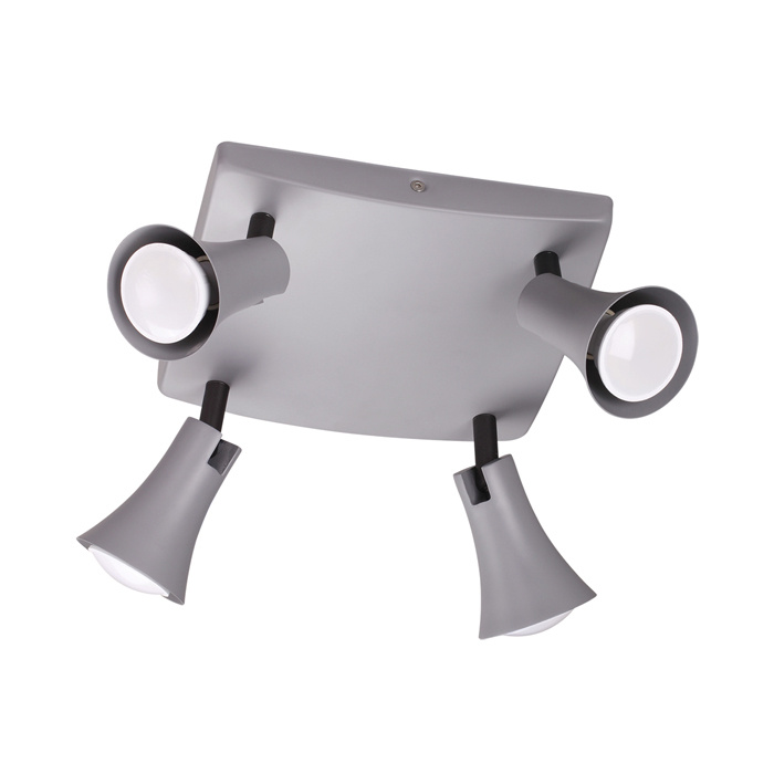 Спот Odeon Light Reanna 3825/4C