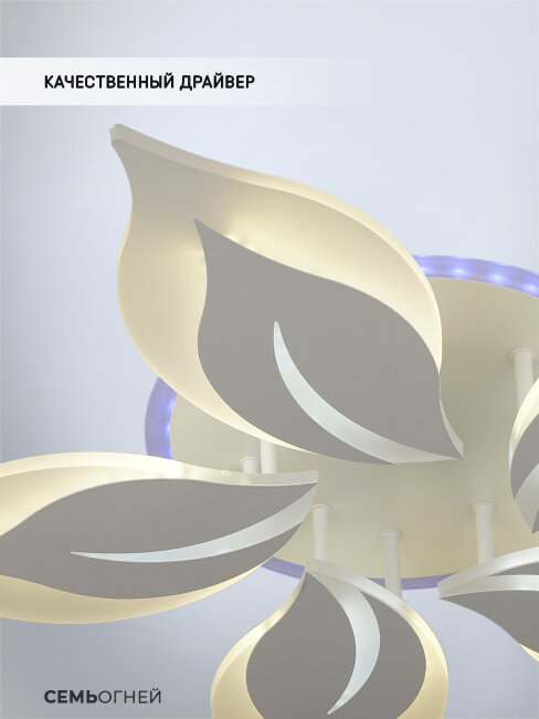 Потолочная люстра Wedo Light Omenya 75391.01.09.05