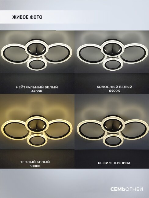 Потолочная люстра Seven Fires Leyni SF5006/4C-BK