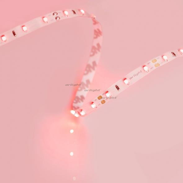 Лента Arlight 010526(1)