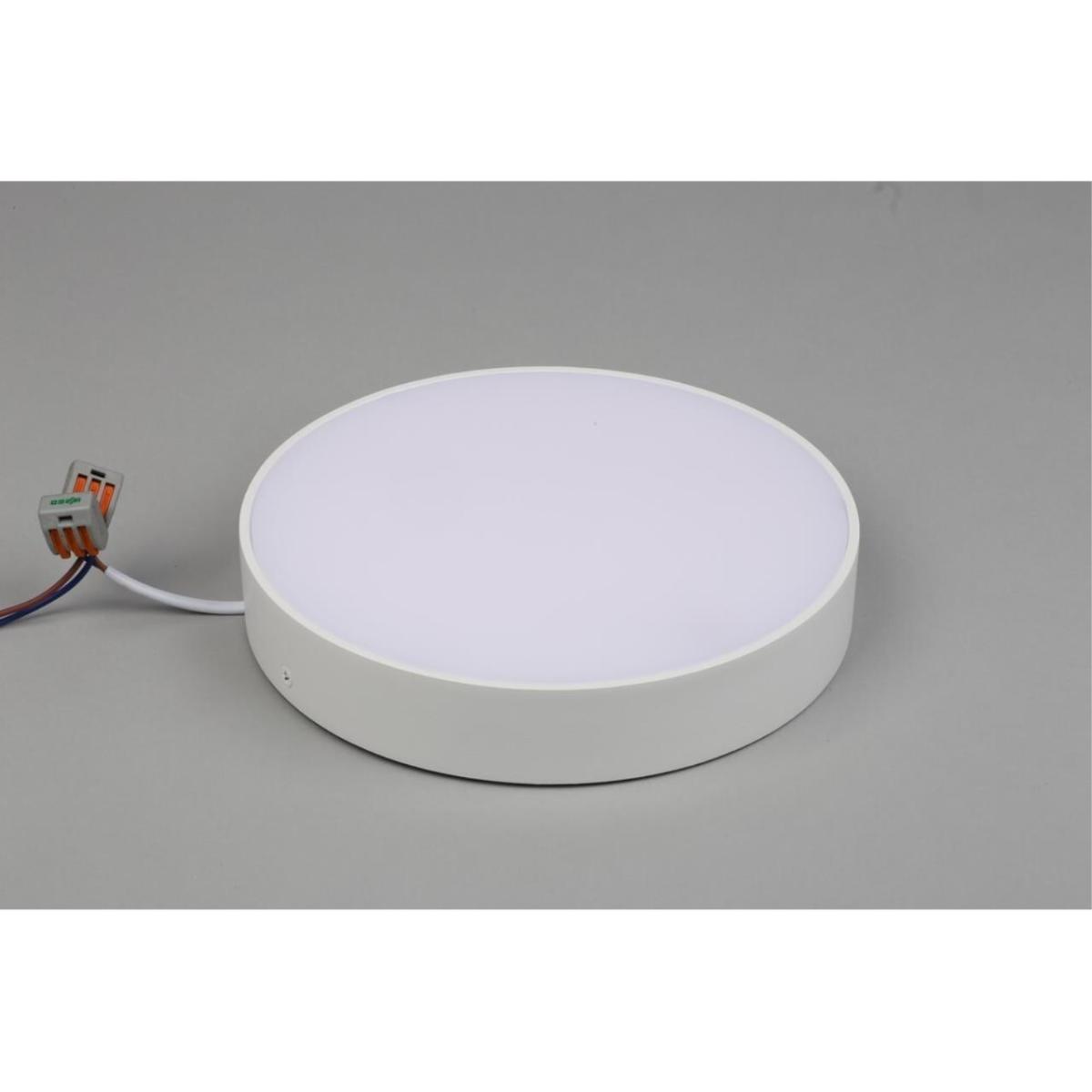 Потолочный светильник Aployt Evon APL.0114.09.24