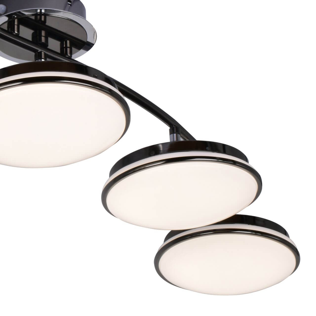 Потолочная светодиодная люстра F-Promo Ledante 2478-5U