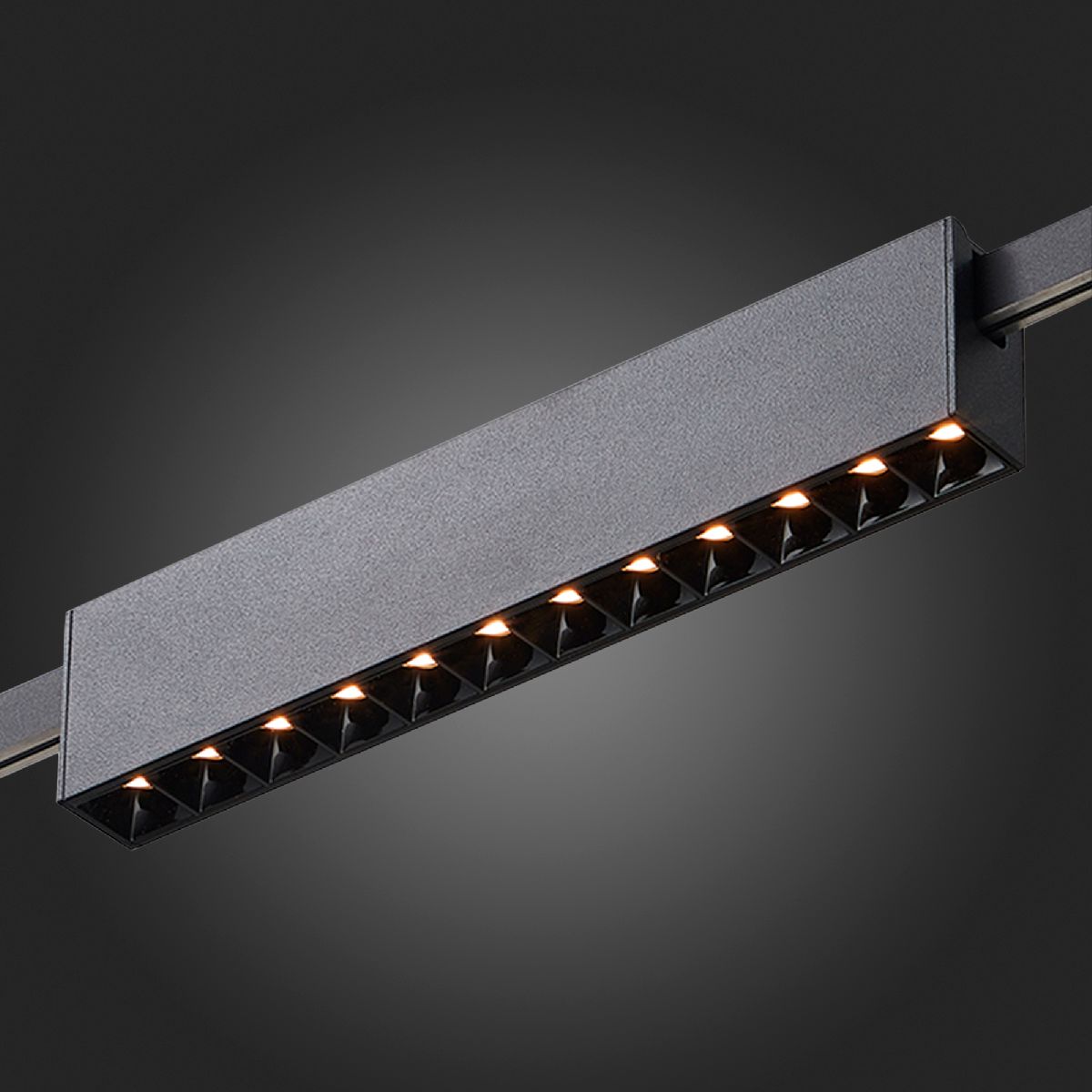 Трековый магнитный светильник ST Luce Farm ST816.406.12