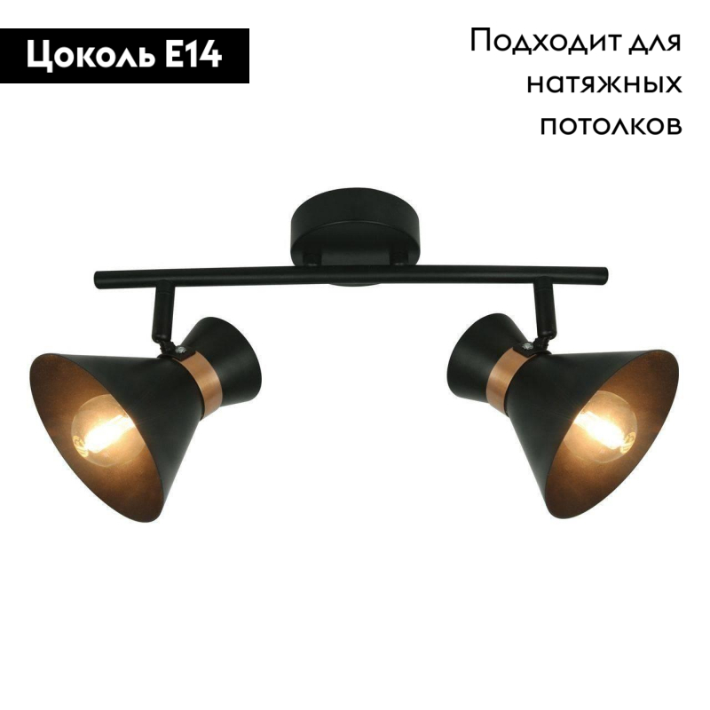 Спот Arte Lamp Baltimore A1406AP-2BK