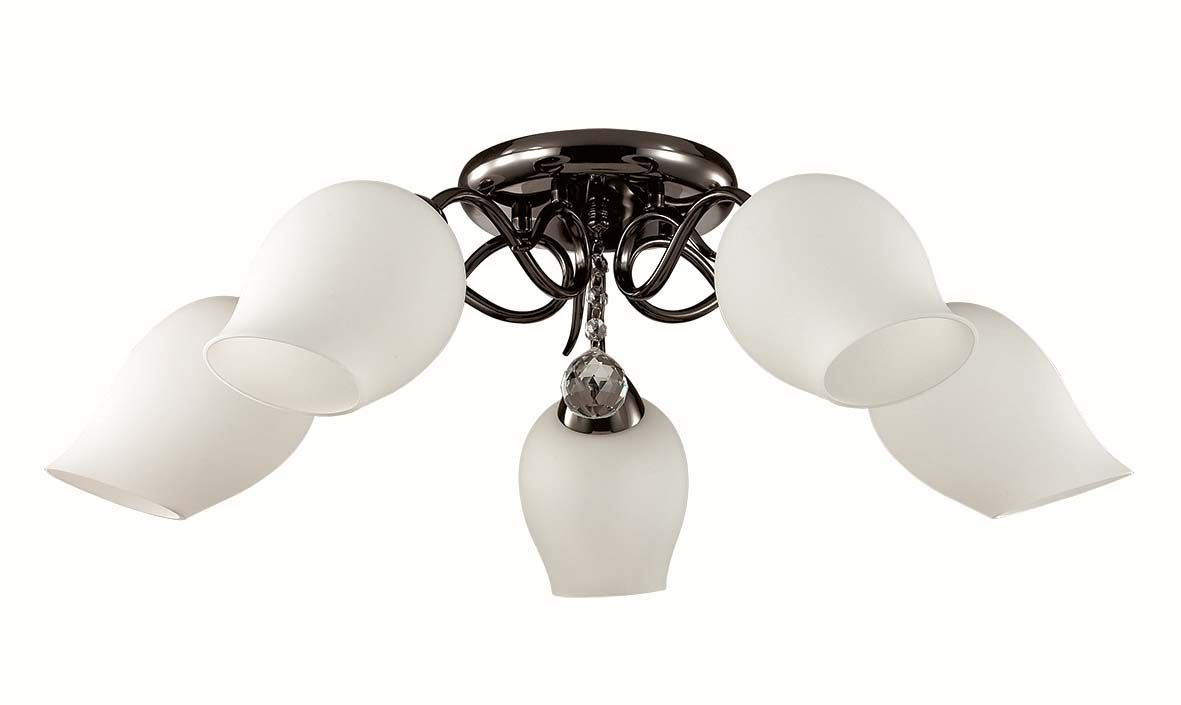 Потолочная люстра Lumion Rondina 3076/5C