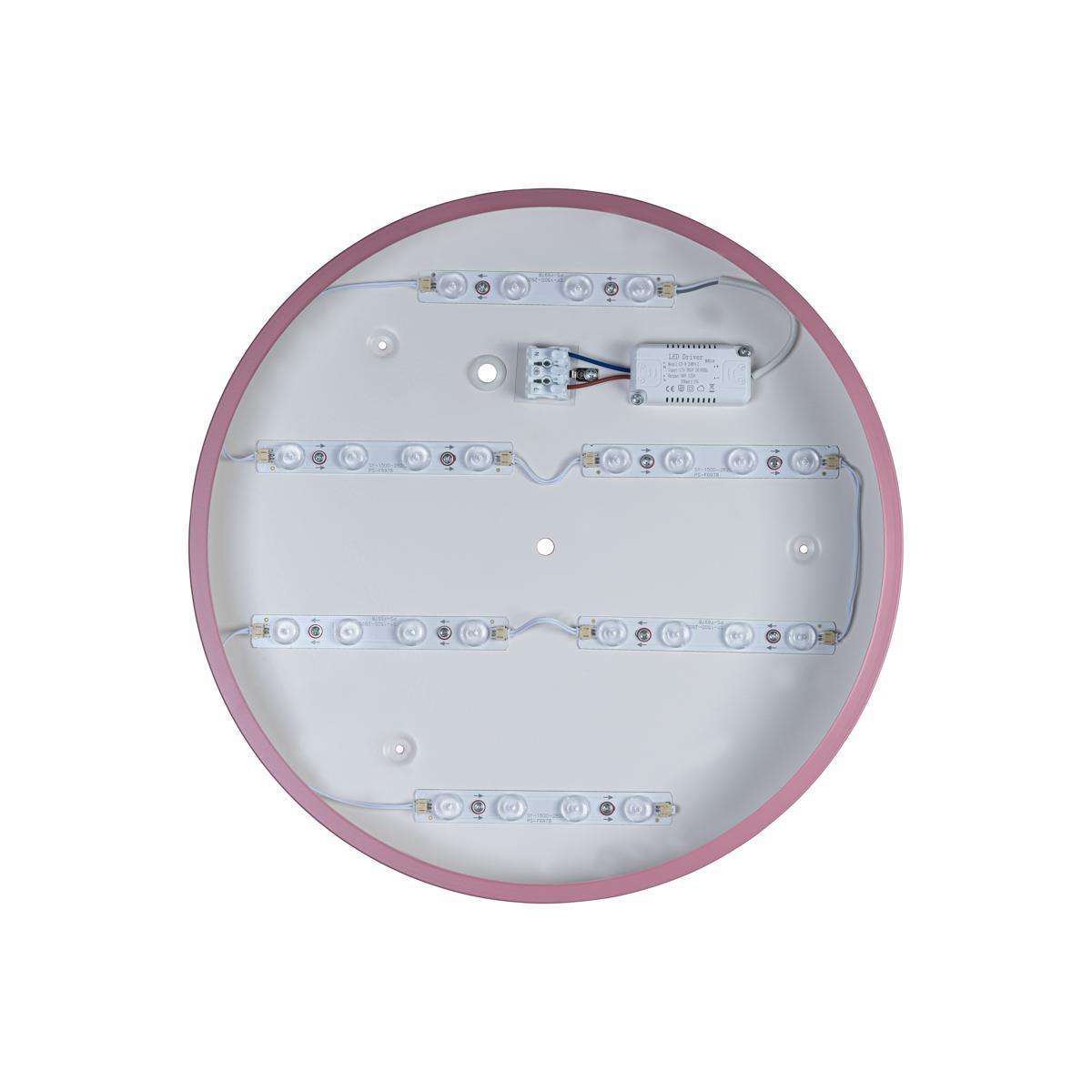 Потолочный светильник Loft IT AXEL 10003/24 Pink УЦ