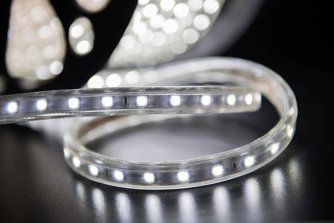 Светодиодная лента SWG LT560-W-50 000940