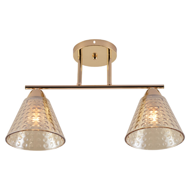 Потолочный светильник Seven Fires Fabius SF3391/2C-FGD-CL