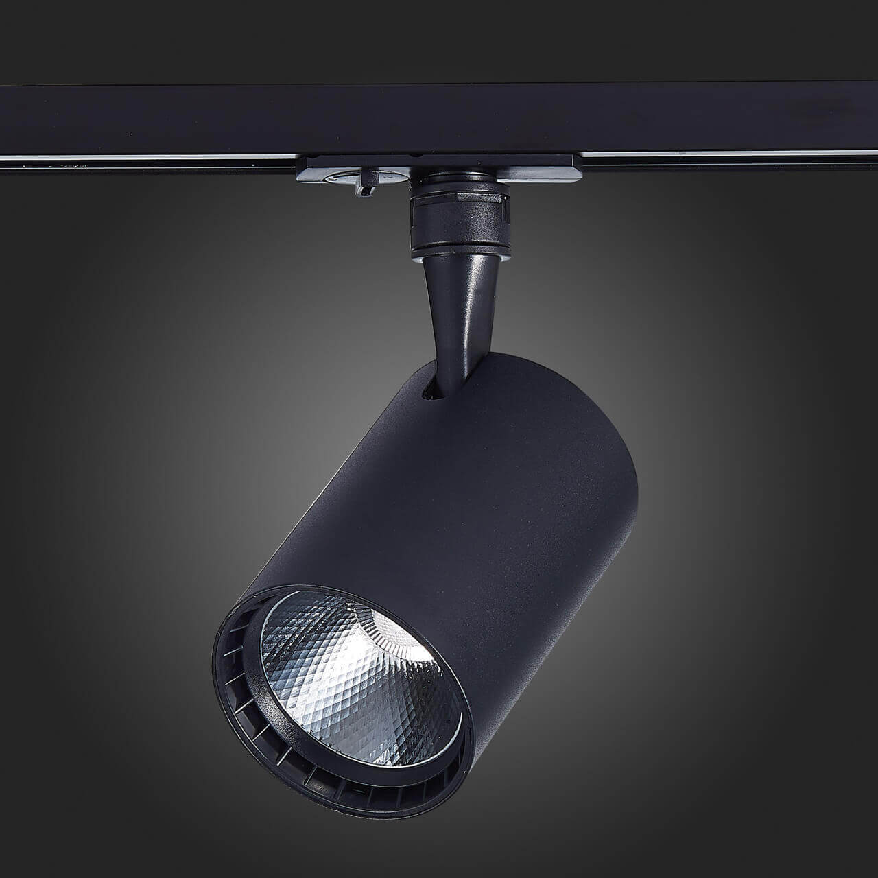 Трековый светильник ST LUCE CAMI ST351.446.30.36