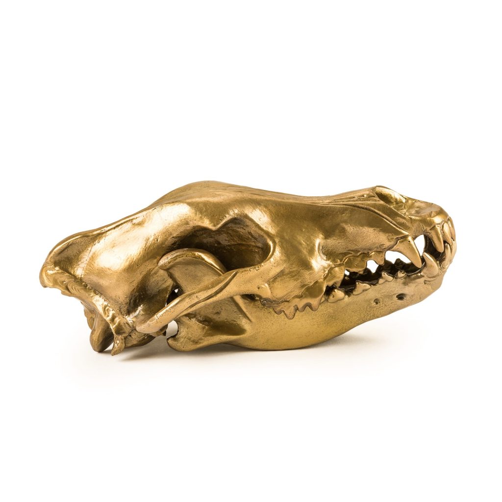 Статуэтка Wolf Skull Seletti Wunderkammer 10892