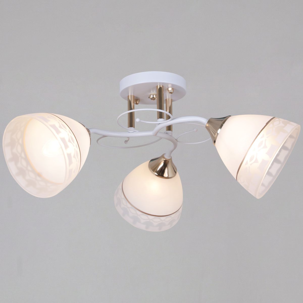 Потолочный светильник Reluce 11460-0.3-03 WH+FG