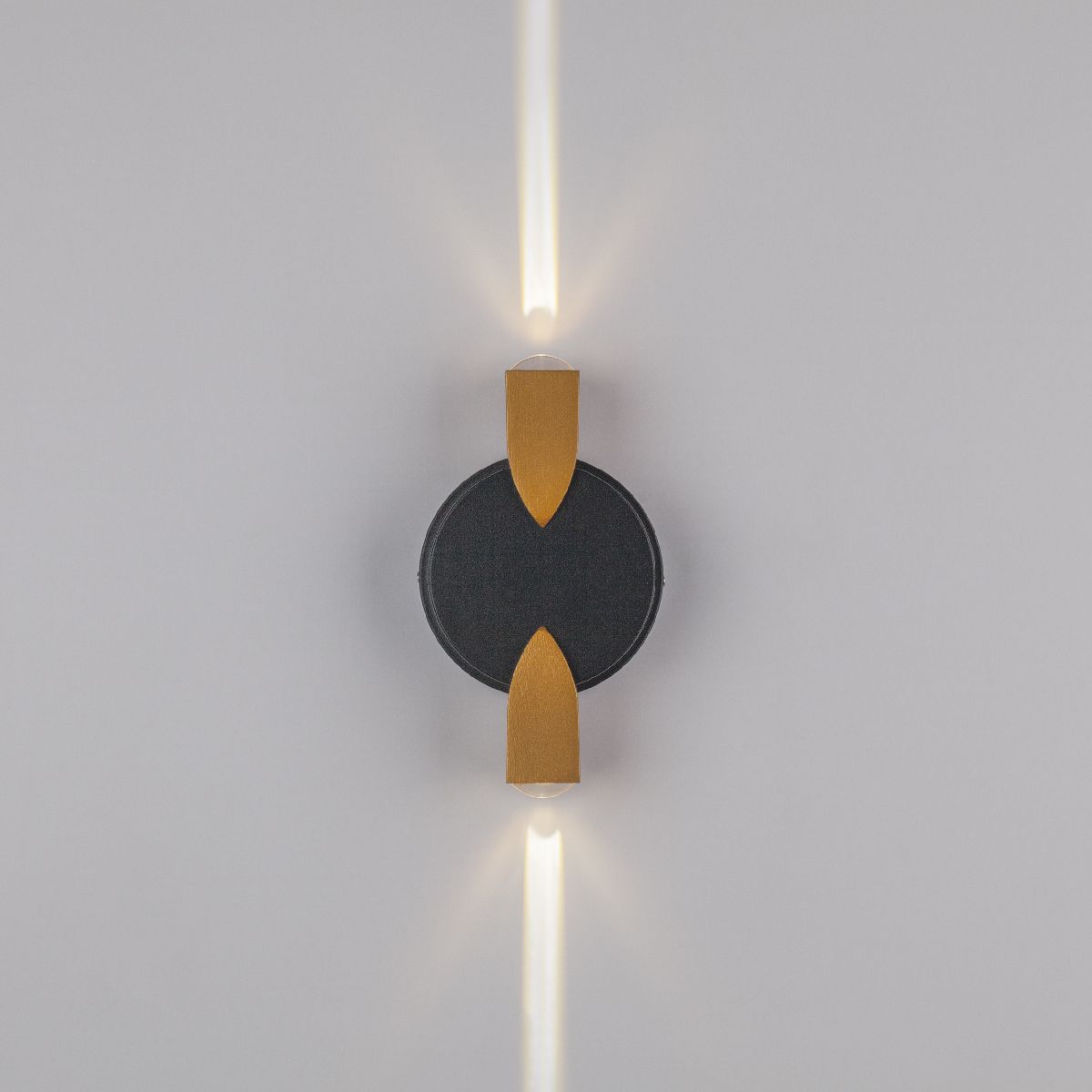 Уличный настенный светильник Lightstar Dito 380623