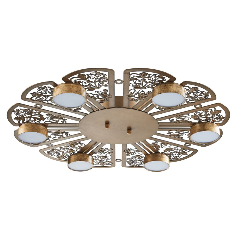 Потолочная светодиодная люстра Favourite Ornamentum 2604-6C