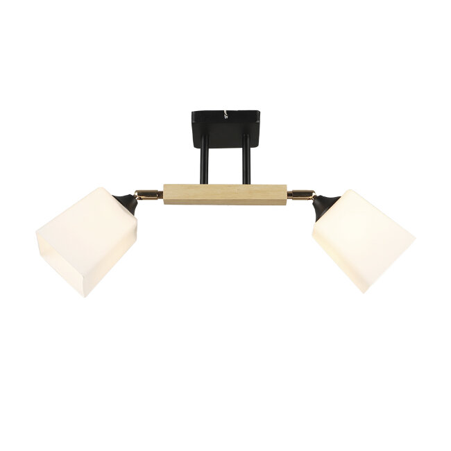 Потолочная люстра Wedo Light Lion WD3508/2C-BK-WT