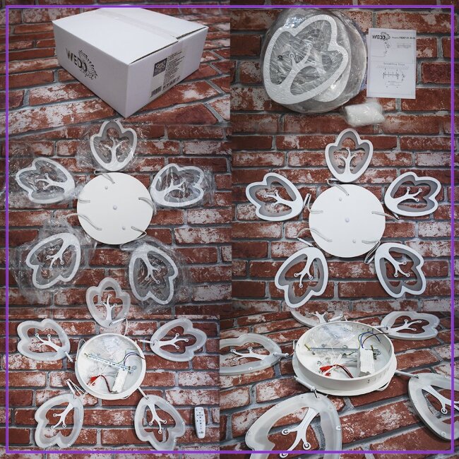 Потолочная люстра Wedo Light Agna 75267.01.09.05