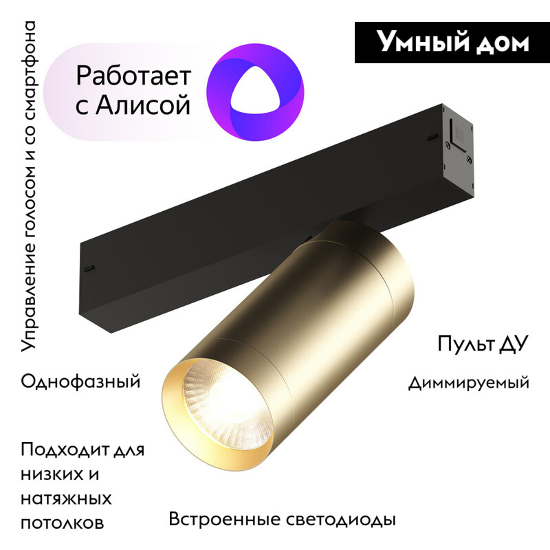 Трековый светильник Denkirs Smart Spot DK8020-BG