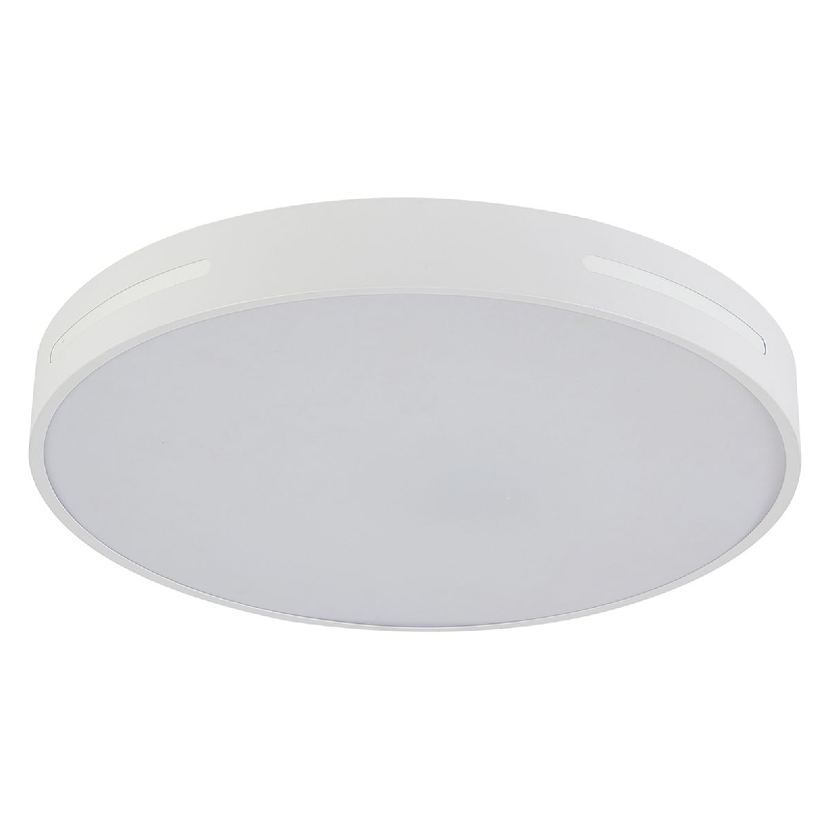 Потолочная люстра Natali Kovaltseva Modern LED LAMPS 81332