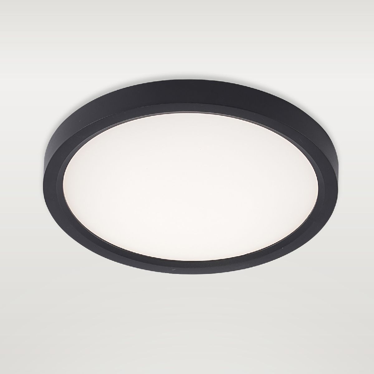 Потолочный светильник Natali Kovaltseva Plain LED LAMPS 81114/1C