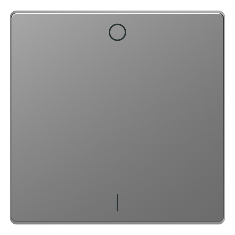 Клавиша одинарная Schneider Electric Merten D-Life MTN3301-6036