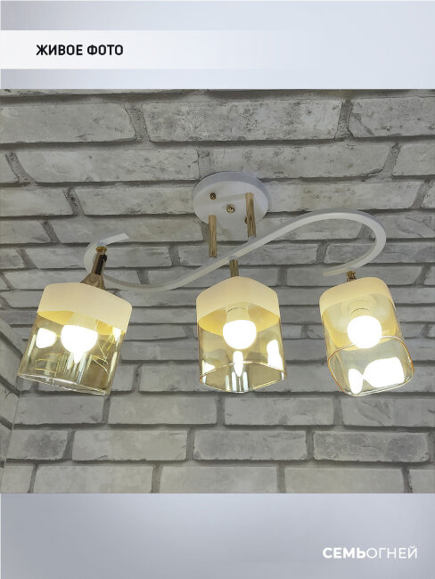 Потолочная люстра Wedo Light Chirsty WD3526/3C-FGD-WT-AM