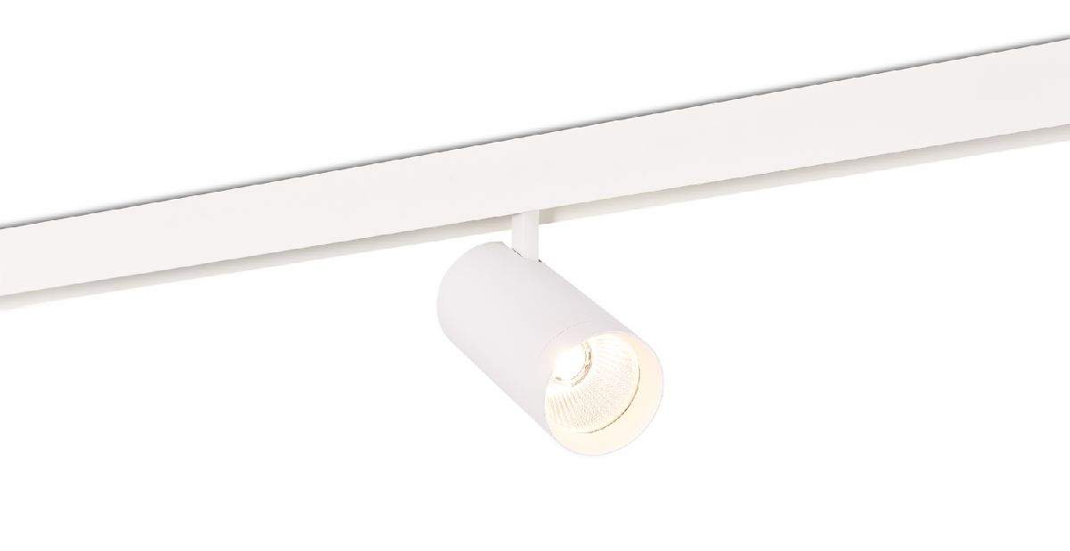 Трековый светильник Donolux Alpha DL20295TW30WTuya