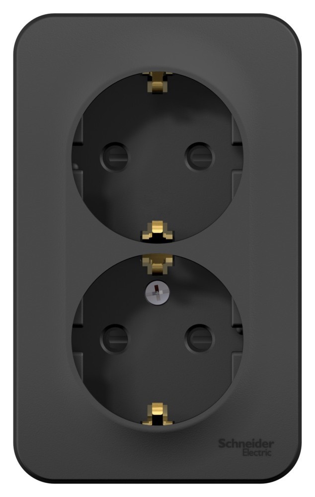 Розетка 2-ая с/з со шторками 16А,250В, изолир. пластина Systeme Electric Blanca наруж Антрацит BLNRA011216