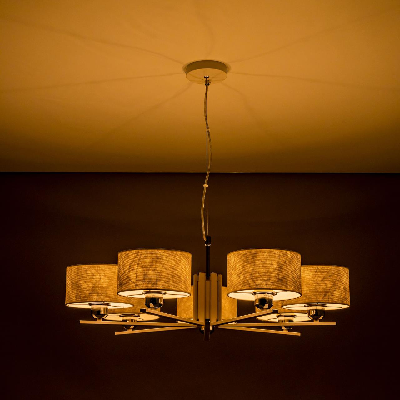 Подвесная люстра Citilux Тильда CL469170 в Москве