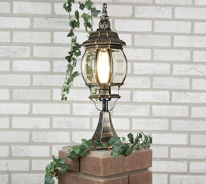 Уличный светильник Elektrostandard Classic NLG9913-D 4607176195989