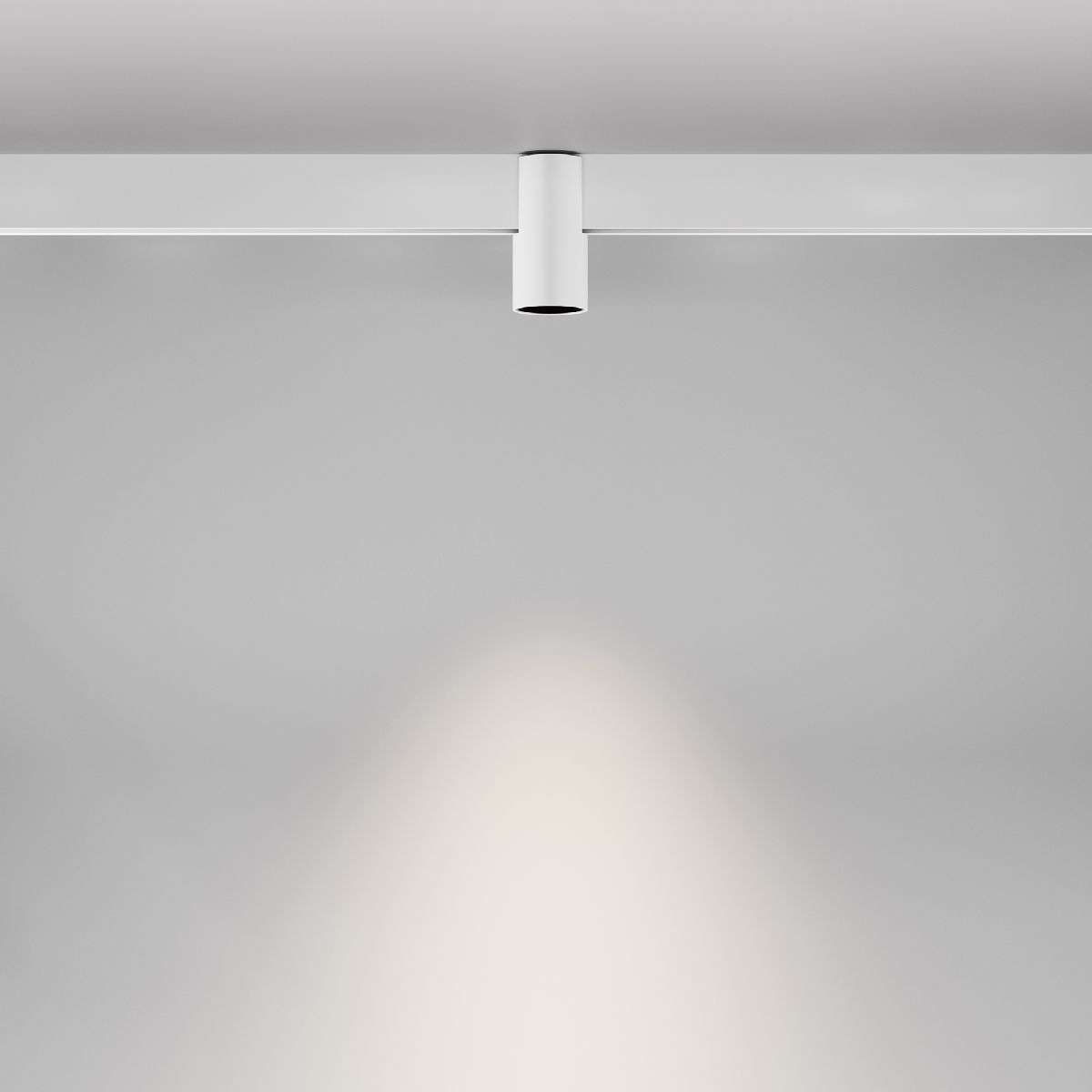 Трековый магнитный светильник Maytoni Alfa TR122-2-7W4K-W