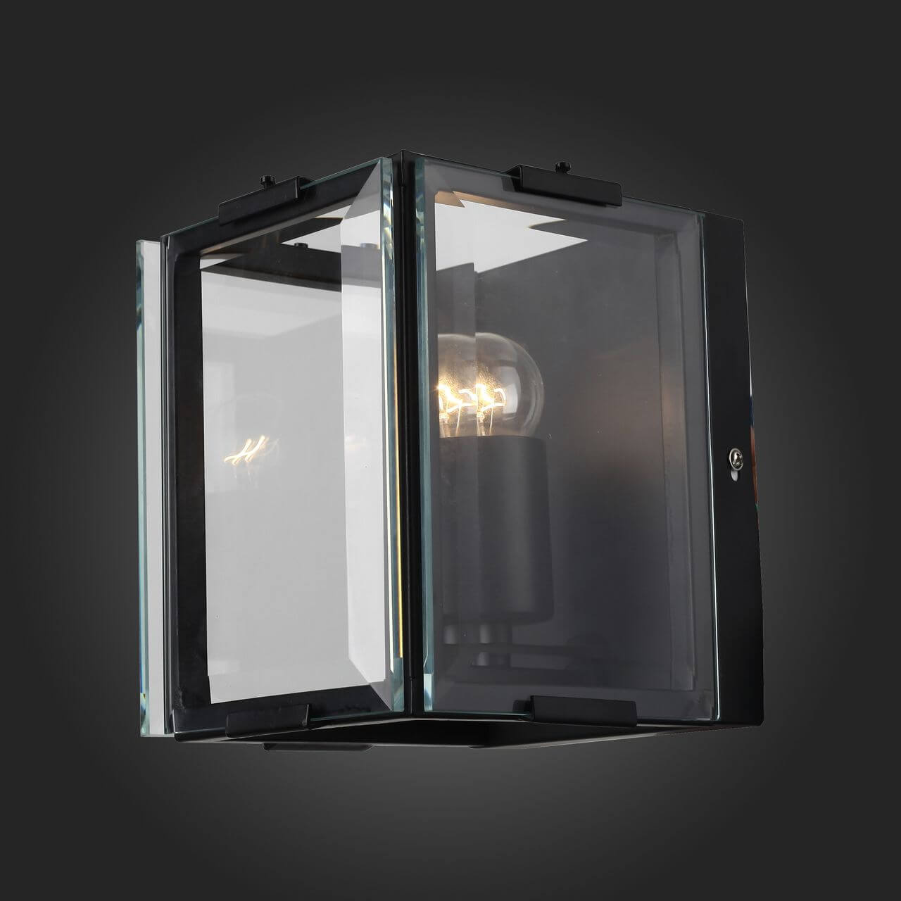 Настенный светильник ST Luce Peltro SL276.411.01