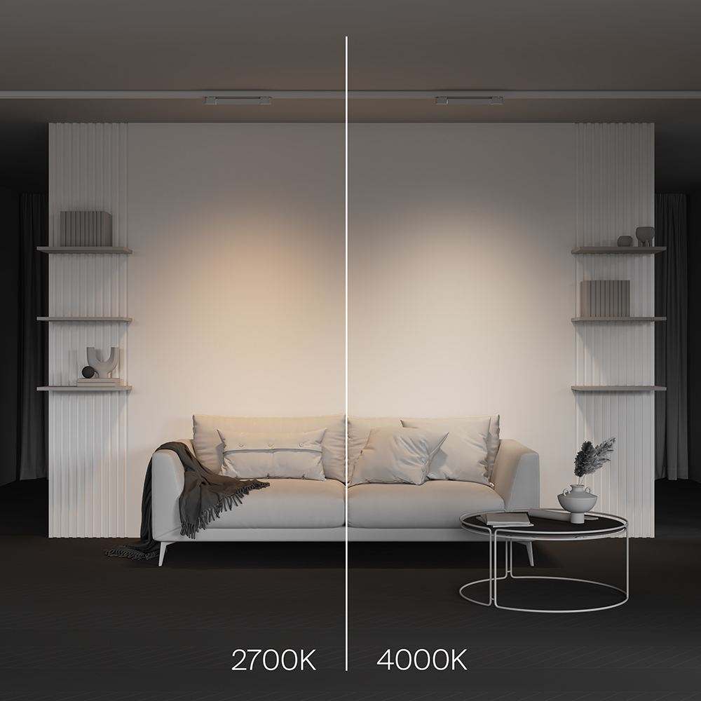 Трековый трехфазный светильник Maytoni Basis TR196-3-10W2.7K-W