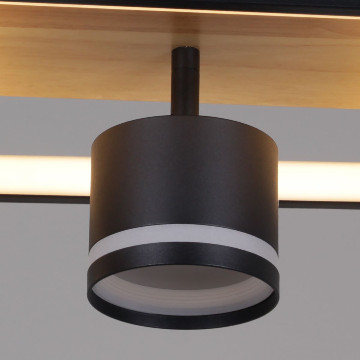 Потолочный светильник Reluce 19560-0.3-2+2 BK+WOOD