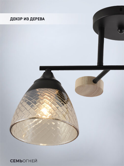 Потолочный светильник Seven Fires Aislin SF3375/2C-BK-WD-AM