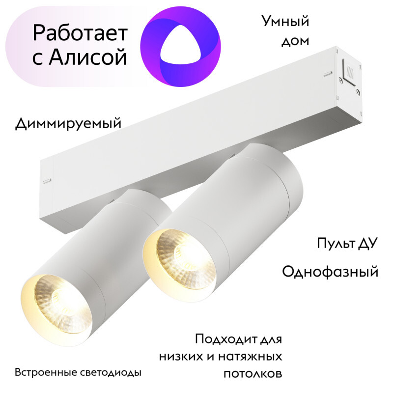 Трековый светильник Denkirs Smart DK8012-WH