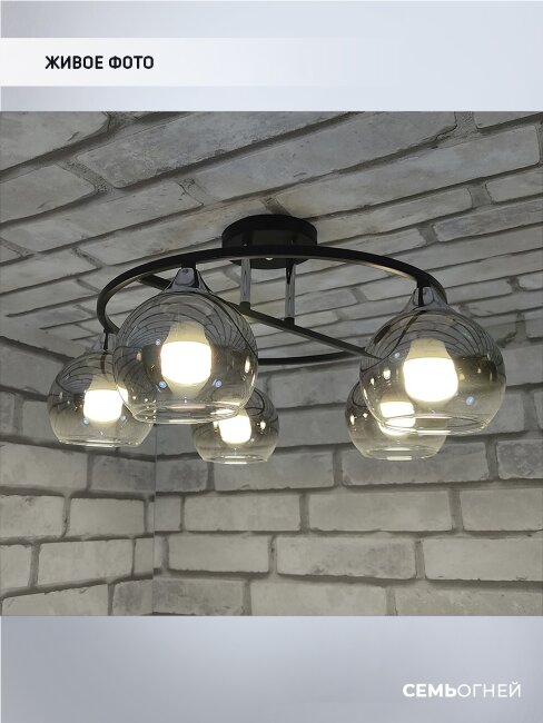 Потолочная люстра Wedo Light Sanczeno 66422.01.13.05