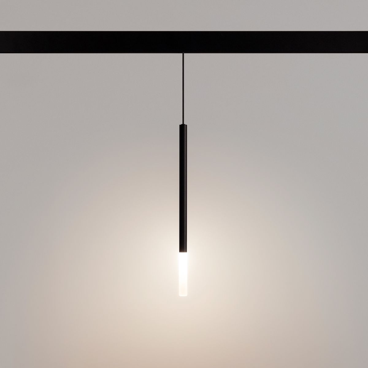 Трековый магнитный светильник Arlight MAG-ORIENT-STICK-HANG-R20-3W Warm3000 (BK, 180 deg, 48V) 037038(1)