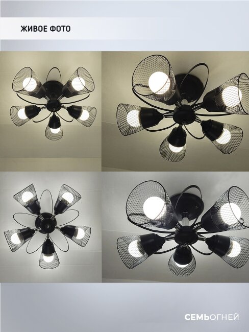 Люстра на штанге Wedo Light Berat WD3525/5C-BK-CR-BK