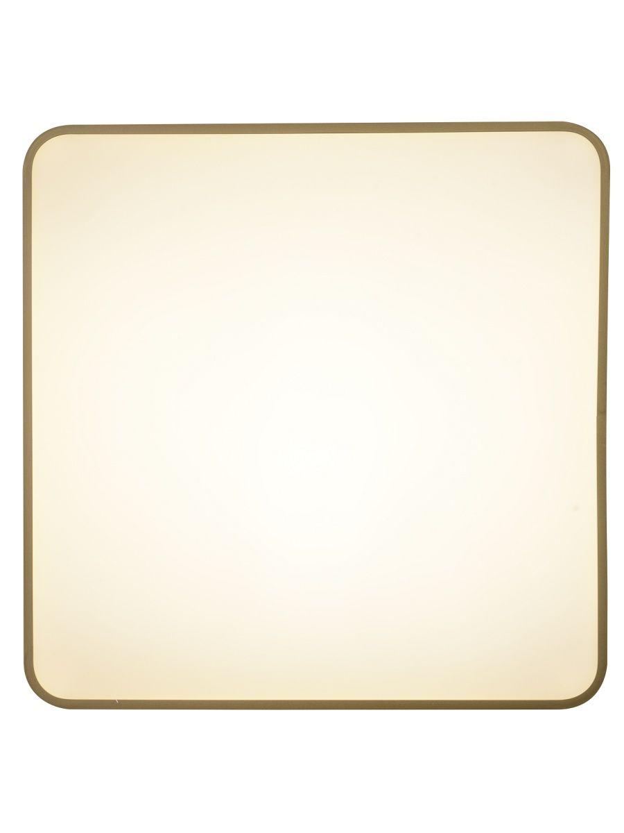 Потолочный светильник Zortes Gabby ZRS.1215.04