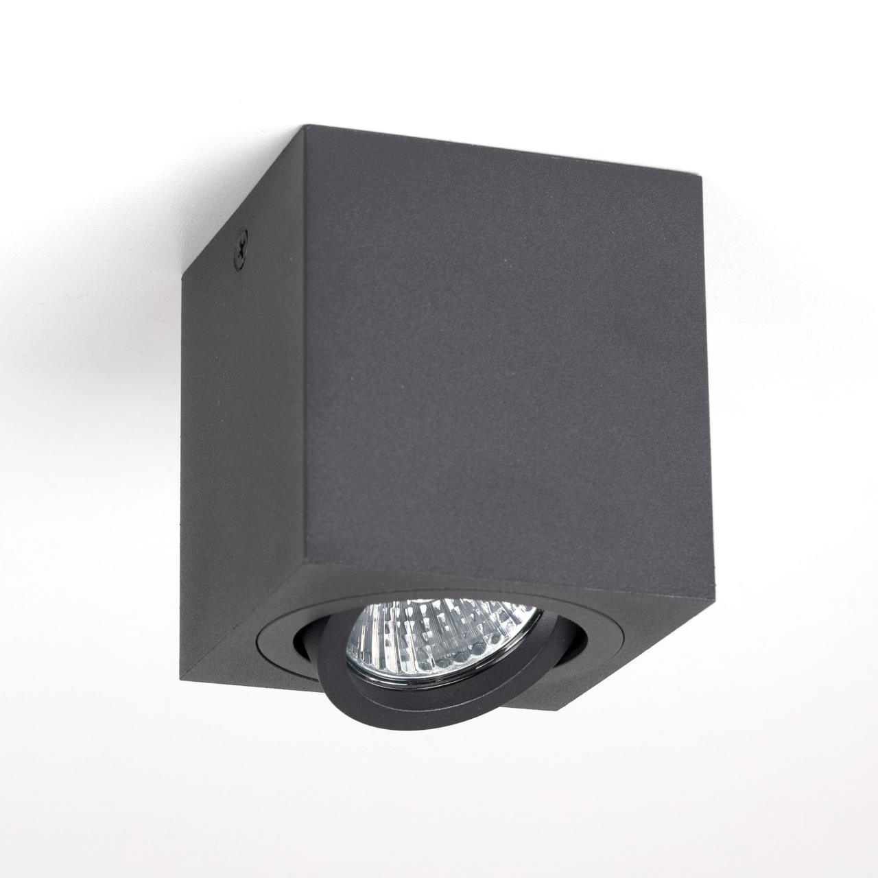 Накладной светильник Citilux Дюрен CL538213 в Москве