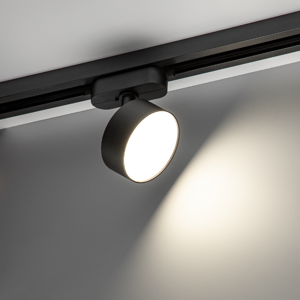 Трековый однофазный светильник Ritter Artline 59726 5