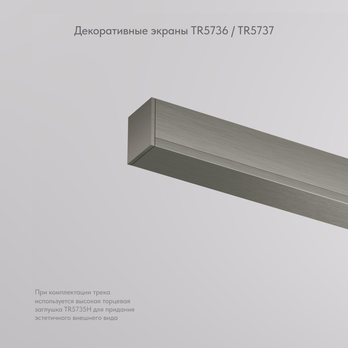 Декоративная заглушка желоба трека Denkirs Shine Base TR5737-DN