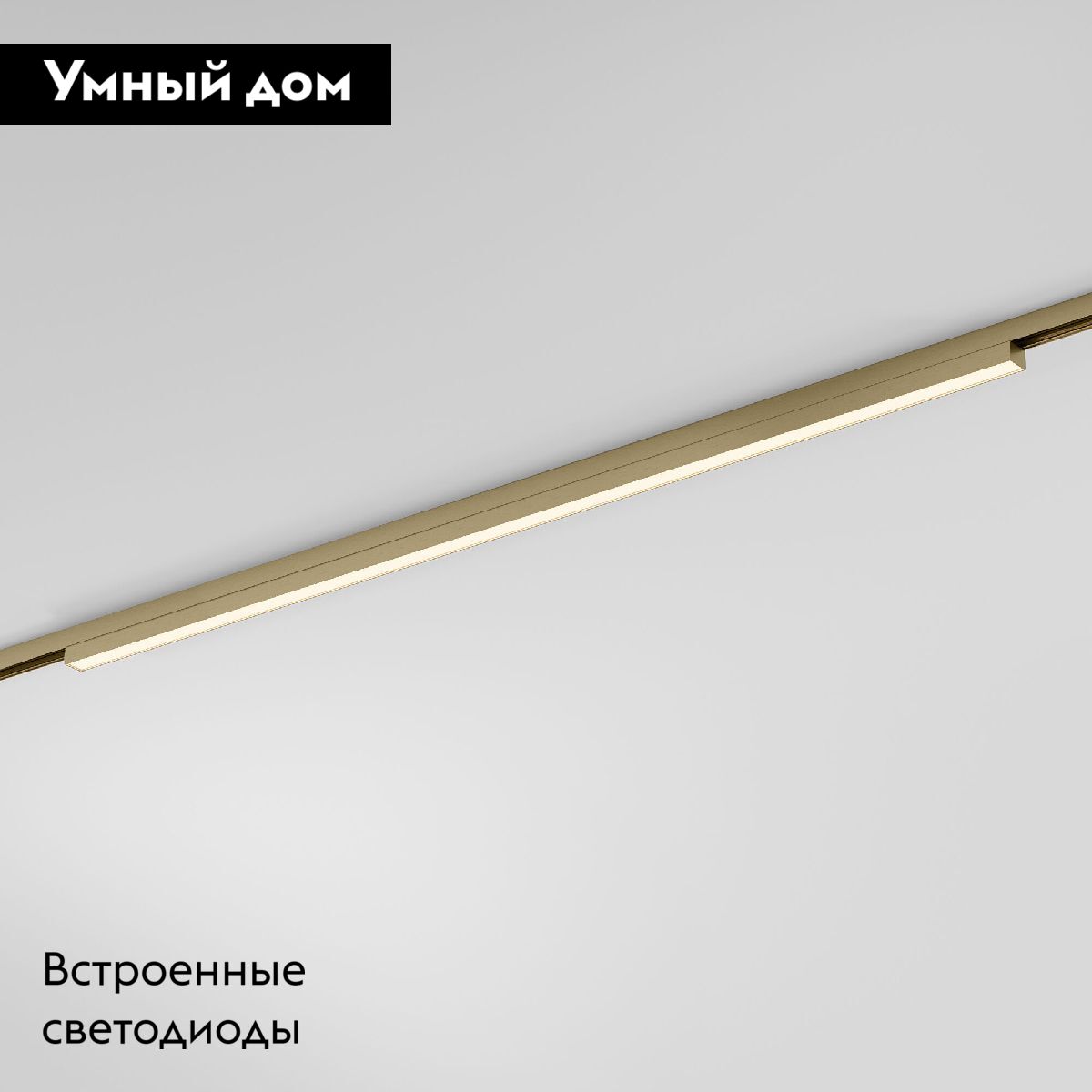 Трековый магнитный светильник Elektrostandard Line Magnetic 85527/01 4690389213649 a069635