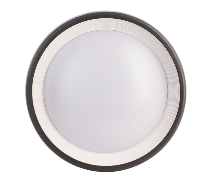 Уличный настенный светильник Deko-Light Canis 731043